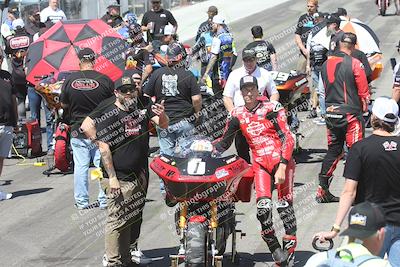 media/Apr-26-2025-BRL Bagger Racing League (Sat) [[9e270f465f]]/9-Bagger GP and Pro Stock Race/